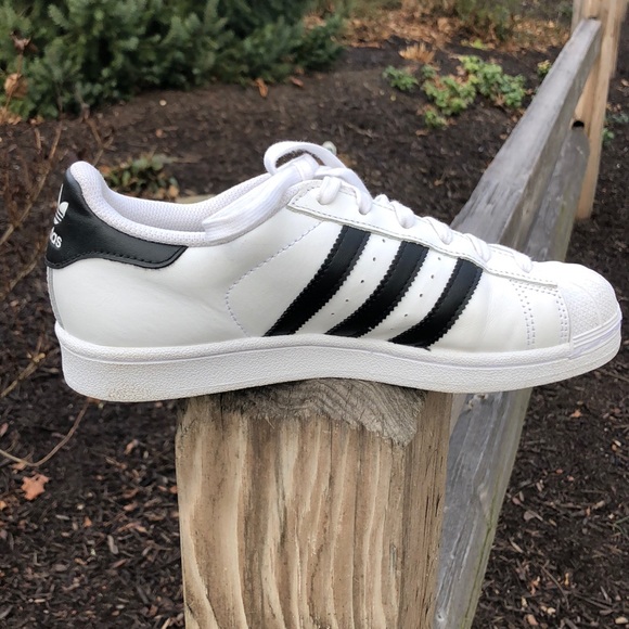 solid color adidas shell toe